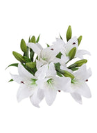 XiuWoo 5 Pcs Artificial Lily with 3 Buds Full Bloom Real Touch Latex Flowers White - Image 2