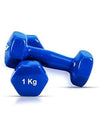 DUNISO 2 Pcs Dumbbells, Fitness Dumbbells, Weightlifting Dumbbells with Anti Slip Handles, Sturdy and Durable，Suitable For Fitness, Home Use, Exercise, Weightlifting, Yoga, 1KG Each，Blue