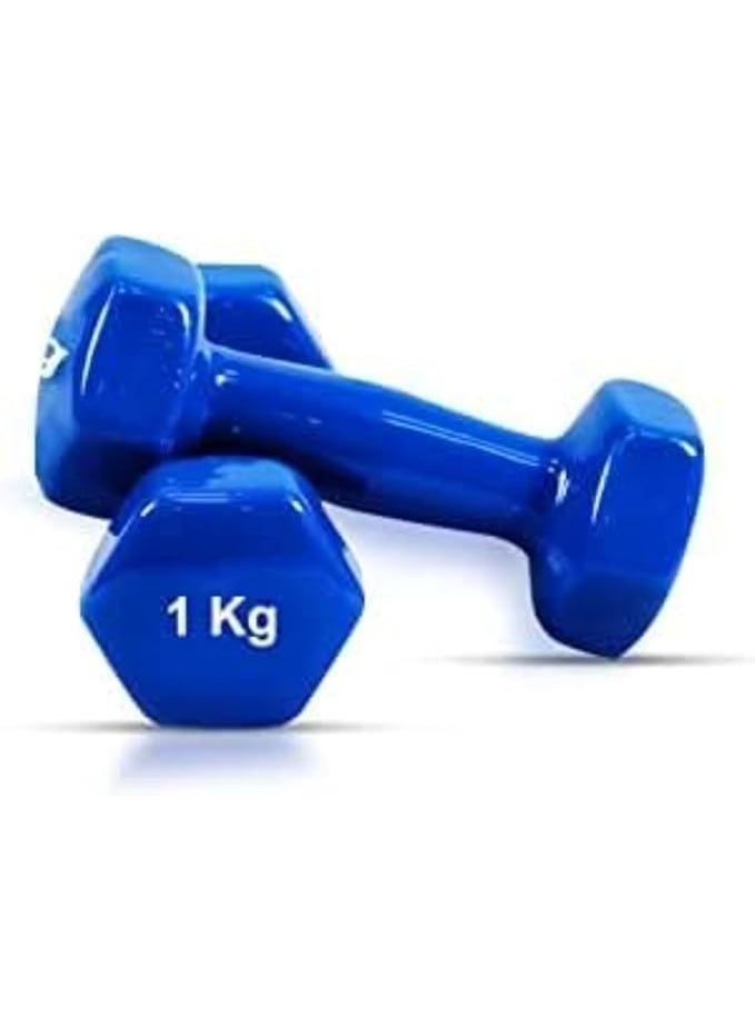DUNISO 2 Pcs Dumbbells, Fitness Dumbbells, Weightlifting Dumbbells with Anti Slip Handles, Sturdy and Durable，Suitable For Fitness, Home Use, Exercise, Weightlifting, Yoga, 1KG Each，Blue