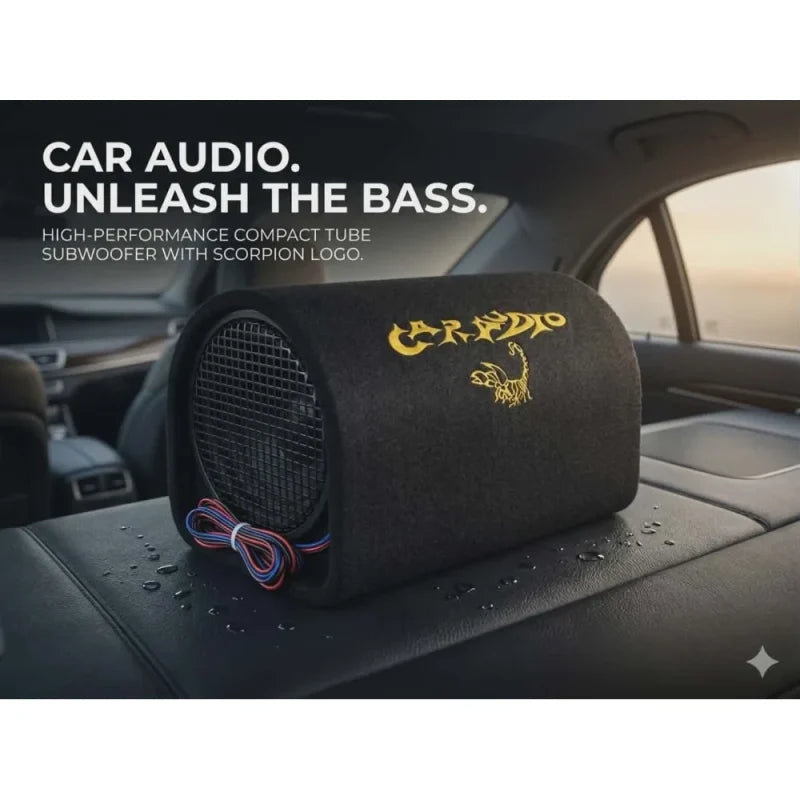 CAR SUBWOOFER